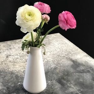 Meet your Posher, Jamee